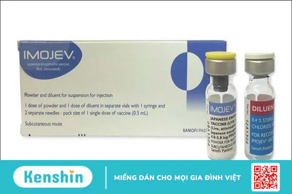 Tiêm viêm não nhật bản có sốt không? Lưu ý sau khi tiêm vắc xin