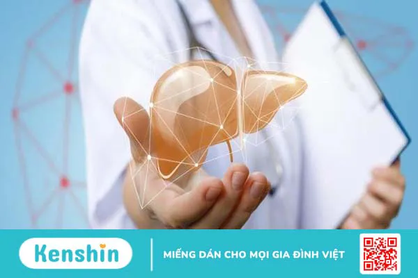 Tinh bột là gì? 3 vai trò của tinh bột và các thực phẩm giàu tinh bột