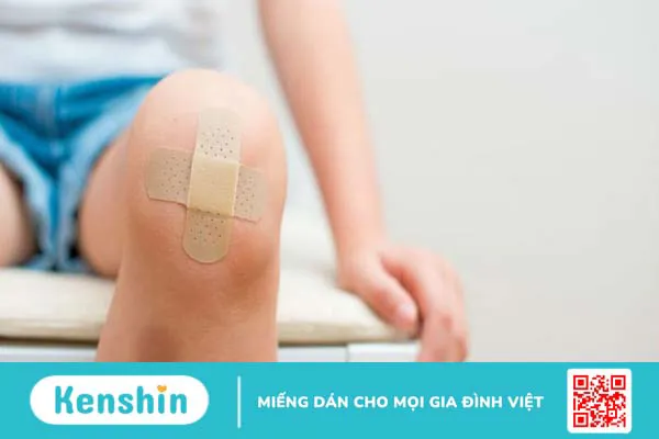 Tinh dầu bạc hà là gì? 17 Tác dụng, cách dùng, tác dụng phụ