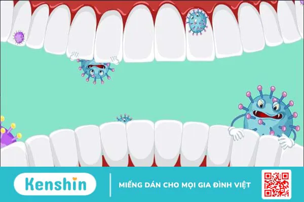 Tinh dầu bạc hà là gì? 17 Tác dụng, cách dùng, tác dụng phụ