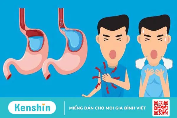 Tinh dầu bạc hà là gì? 17 Tác dụng, cách dùng, tác dụng phụ