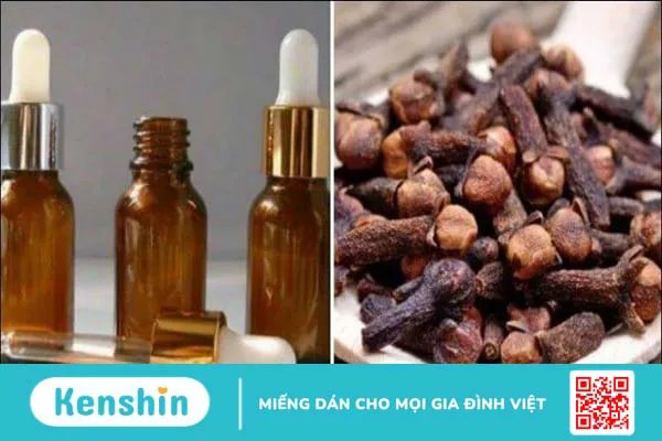 Tinh dầu đinh hương là gì? 8 tác dụng của tinh dầu đinh hương