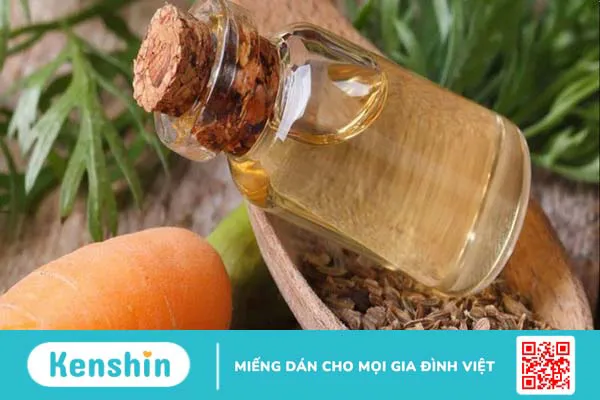 Tinh dầu hạt cà rốt là gì? Lợi ích của tinh dầu hạt cà rốt mang đến cho sức khỏe