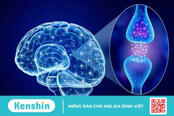 Tinh dầu hương thảo có tác dụng gì? 15 công dụng tinh dầu hương thảo