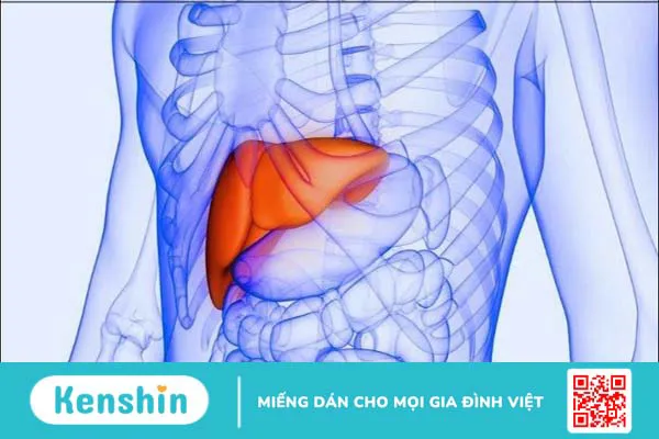 Tinh dầu hương thảo có tác dụng gì? 15 công dụng tinh dầu hương thảo