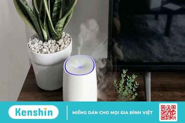 Tinh dầu hương thảo có tác dụng gì? 15 công dụng tinh dầu hương thảo