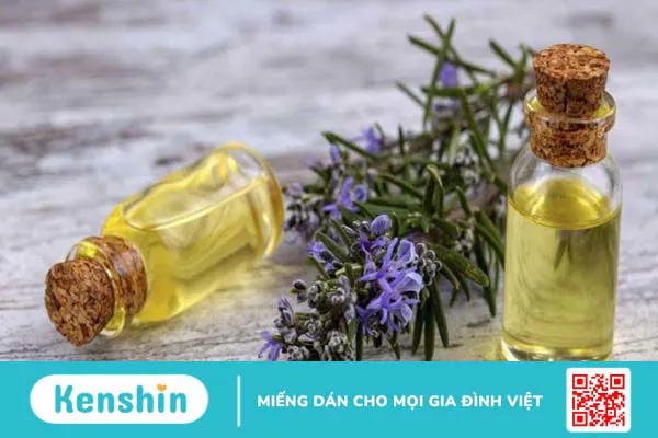 Tinh dầu hương thảo có tác dụng gì? 15 công dụng tinh dầu hương thảo