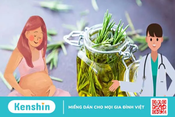 Tinh dầu hương thảo có tác dụng gì? 15 công dụng tinh dầu hương thảo