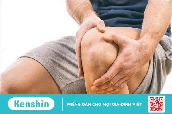 Tinh dầu khuynh diệp có tác dụng gì? 14 công dụng và lưu ý khi dùng