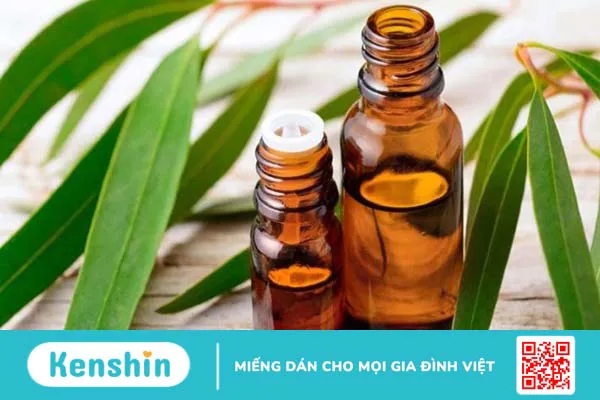 Tinh dầu khuynh diệp có tác dụng gì? 14 công dụng và lưu ý khi dùng