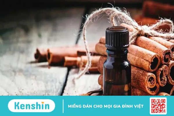 Tinh dầu quế có tác dụng gì? 14 tác dụng và lưu ý khi sử dụng