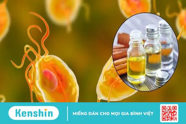 Tinh dầu quế có tác dụng gì? 14 tác dụng và lưu ý khi sử dụng