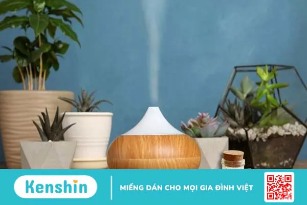 Tinh dầu sả chanh có tác dụng gì? 12 công dụng của tinh dầu sả chanh