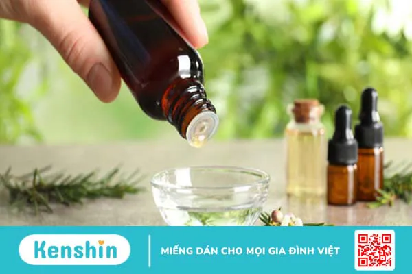 Tinh dầu tràm trà có tác dụng gì? 11 lợi ích tuyệt vời bạn nên biết