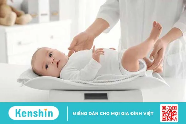 Tỏi ngâm mật ong: 11 tác dụng đối với sức khoẻ và cách làm bổ dưỡng