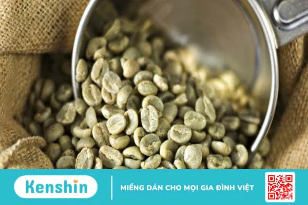 Top 10 thành phần phổ biến trong thuốc giảm cân