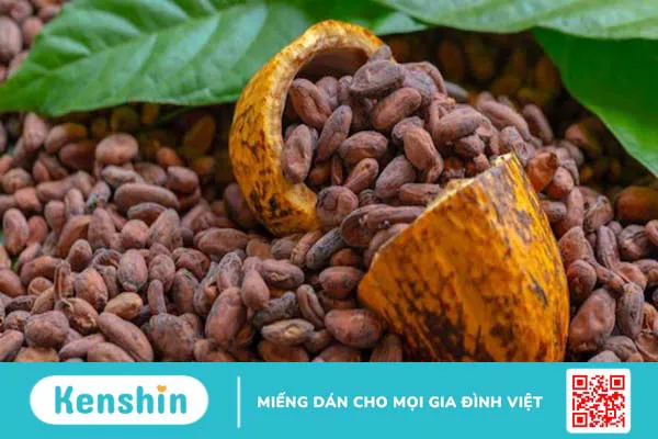 Top 10 thành phần phổ biến trong thuốc giảm cân