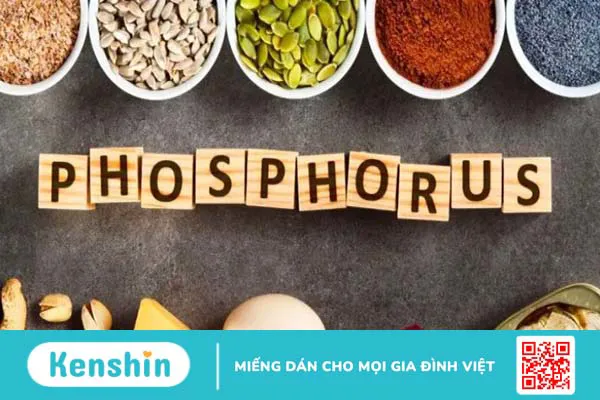 Top 10 thực phẩm giúp bổ não sáng mắt bạn nên biết