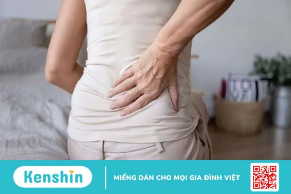 Top 12 bài tập thoát vị đĩa đệm tại nhà hiệu quả nhất và lưu ý khi tập