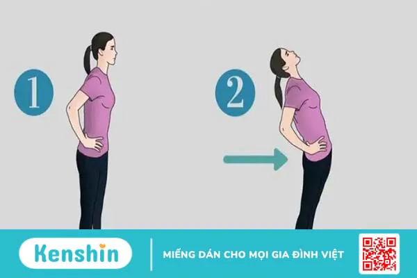 Top 12 bài tập thoát vị đĩa đệm tại nhà hiệu quả nhất và lưu ý khi tập