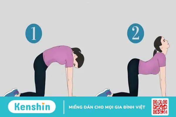 Top 12 bài tập thoát vị đĩa đệm tại nhà hiệu quả nhất và lưu ý khi tập