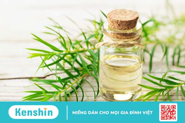 TOP 13 cách trị gàu DỨT ĐIỂM bằng các nguyên liệu tự nhiên, đơn giản, hiệu quả