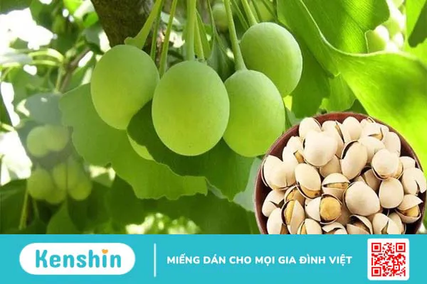 Top 14 viên uống bổ não cho trẻ em được nhiều mẹ tin dùng