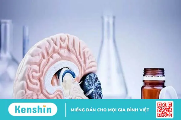 Top 15 viên uống bổ não cho người già được chuyên gia khuyên dùng