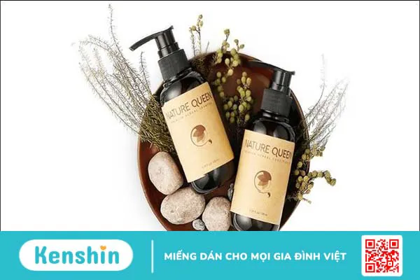 Top 17 loại dầu gội thảo dược tự nhiên chắc khỏe tóc được ưa chuộng