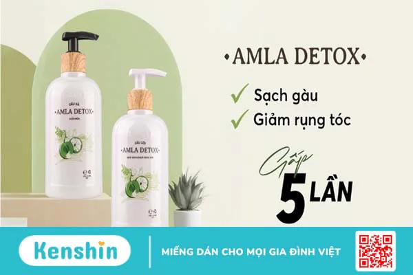 Top 17 loại dầu gội thảo dược tự nhiên chắc khỏe tóc được ưa chuộng