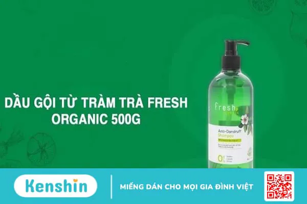 Top 17 loại dầu gội thảo dược tự nhiên chắc khỏe tóc được ưa chuộng