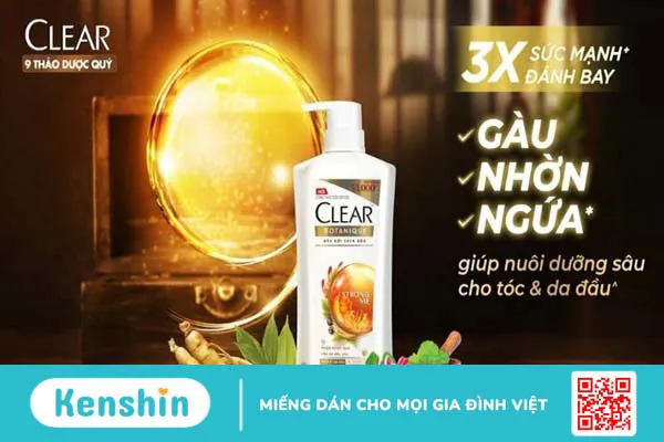 Top 17 loại dầu gội thảo dược tự nhiên chắc khỏe tóc được ưa chuộng