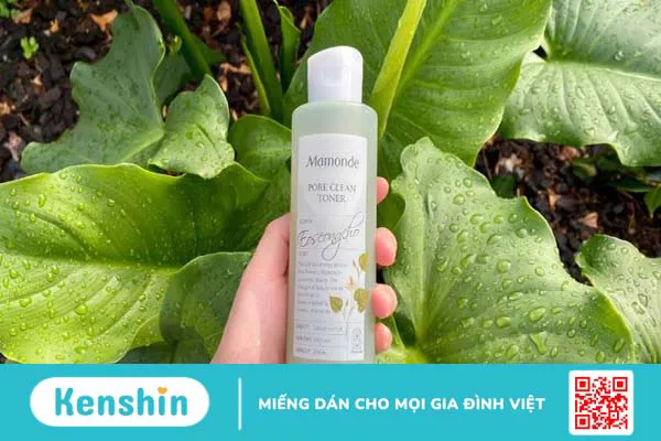 Top 18 loại toner cấp ẩm cho da tốt nhất được hội chị em tin dùng