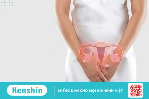 Top 21 dung dịch vệ sinh phụ nữ bác sĩ khuyên dùng cho các chị em