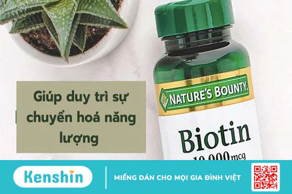 Top 22 loại viên uống kích thích mọc tóc biotin được tin dùng