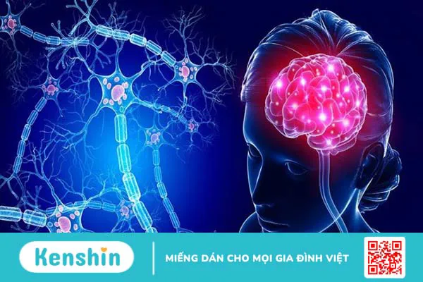 Top 24 thực phẩm bổ não giúp tăng cường trí nhớ và trí não cho trẻ