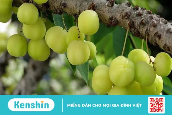 Top 26 thực phẩm giàu vitamin C bạn nên biết và những điều cần lưu ý