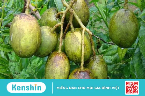 Top 26 thực phẩm giàu vitamin C bạn nên biết và những điều cần lưu ý