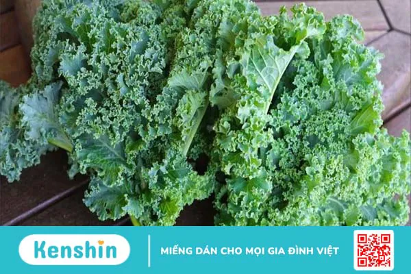 Top 26 thực phẩm giàu vitamin C bạn nên biết và những điều cần lưu ý