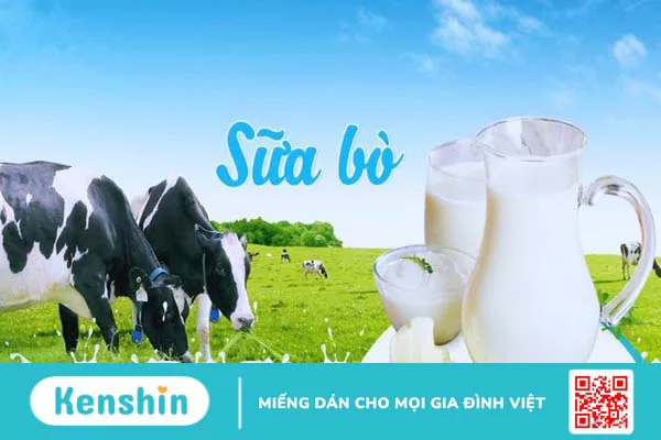 Top 8 thực phẩm giàu vitamin D mà bạn nên bổ sung vào chế độ ăn