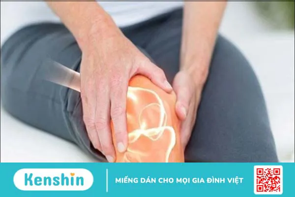 Trà hoa hòe có tác dụng gì? 10 công dụng của hoa hòe với sức khỏe