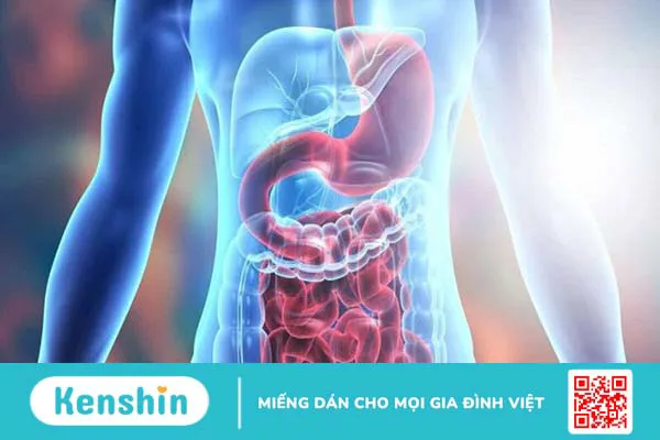 Trà hoa hồng có tác dụng gì? 16 công dụng và cách pha tốt cho sức khỏe