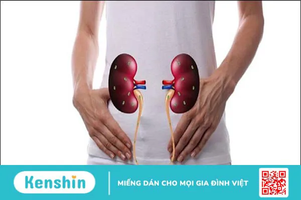 Trà hoa hồng có tác dụng gì? 16 công dụng và cách pha tốt cho sức khỏe