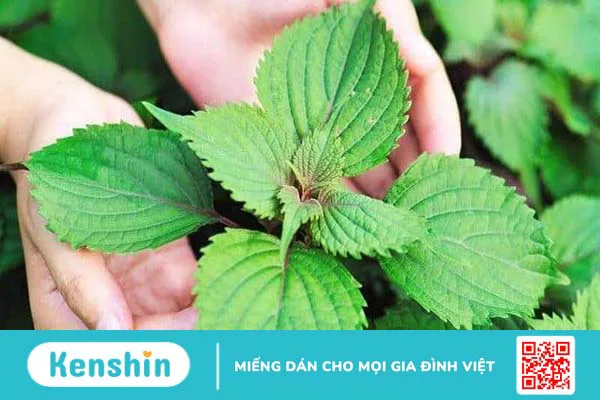 Trẻ bị tay chân miệng có tắm được không? Cách chăm sóc đúng cách