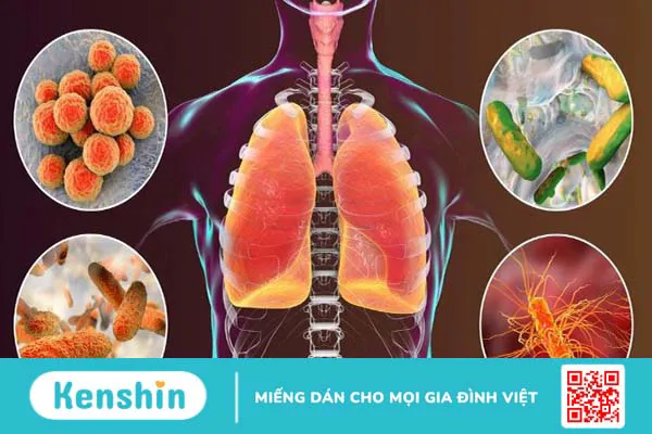 Trẻ sốt siêu vi mấy ngày hết? Cách chăm sóc cho bé mau hết bệnh