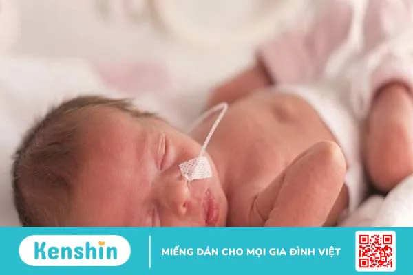 Triệu chứng ho gà qua từng giai đoạn giúp bạn nhận biết bệnh chính xác