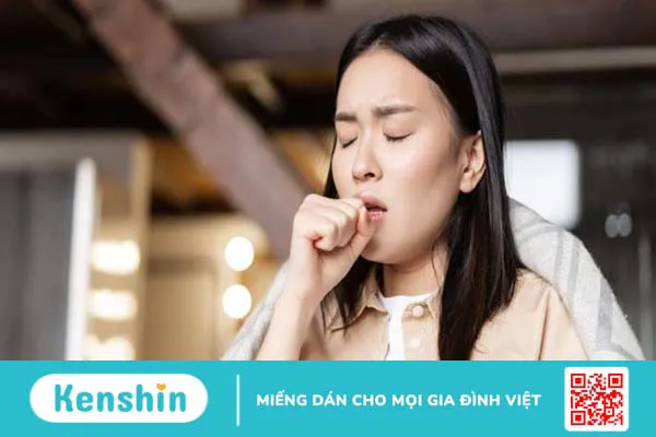 Trinh nữ hoàng cung có tác dụng gì? Công dụng và liều dùng