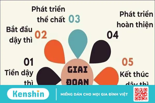 Tuổi dậy thì ở nam giới bắt đầu khi nào? Các dấu hiệu nhận biết