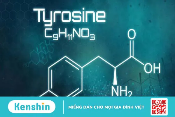 Tyrosine là gì? Vai trò của tyrosine đối với sức khỏe