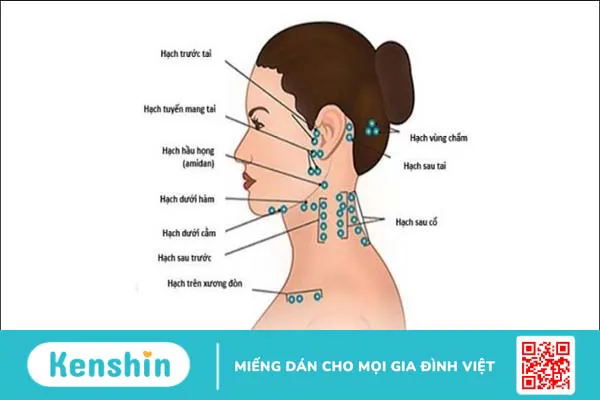 Ung thư máu có di truyền không? 6 dấu hiệu và yếu tố nguy cơ